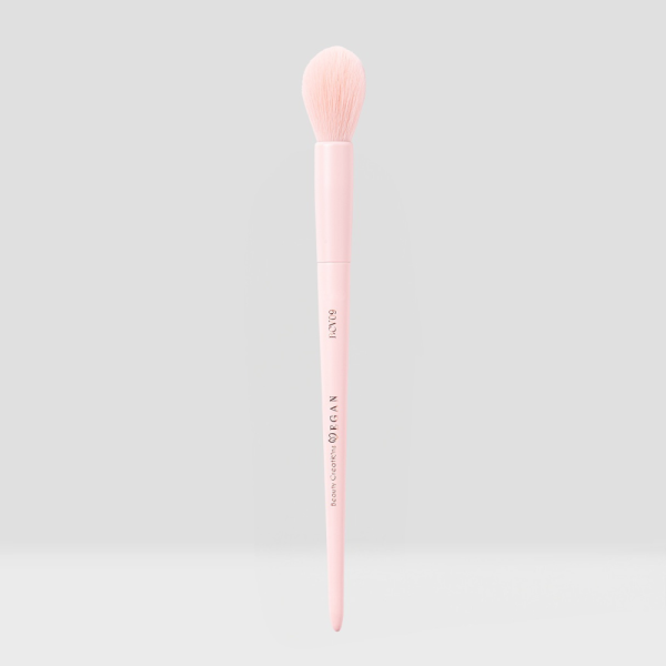 BCV09 BLUSH BRUSH